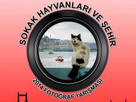 Koza Yönetim, Hayvan Hakları Federasyonu (HAYTAP) işbirliği ile sahipsiz sokak