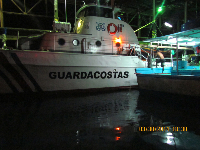At least 40 sharks were killed by an illegal shark-finning
