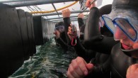 ATTACK: Cedric described the adrenaline rush that he got when the shark bit [BARCROFT] Cedric Alexanderson – who described it as the closest he has ever been to death – caught the full terrifying encounter on camera. Cedric was diving […]