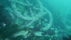 Divers release rare video of Geltwood shipwreck Locals on South