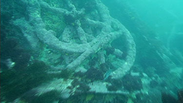Divers release rare video of Geltwood shipwreck Locals on South