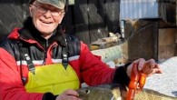 Norveçli bir balıkçının, bir mezgit balığı yakalama sevinci, midesinde büyük bir vibratörle karşılaşmasıyla şaşkınlığa dönüştü. Norveç’in sahil köylerinden Eidsbygda’da balığa çıkan 64 yaşındaki balıkçı Bjoern Frilund, avının ilk balığını yakalamanın sevincini yaşarken bu sevinç, kısa bir süre sonra yerini şaşkınlığa […]