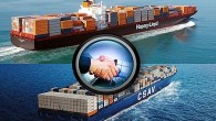 Deutsche Welle’de çıkan haber göre, Hapag-Lloyd ve CSAV şirketlerinden yapılan ortak açıklamada, birleşmeyle ortaya çıkan holdingin merkezinin Hamburg olacağı, Hapag-Lloyd’un Şili’de de bir “bölge merkezi” açacağı belirtildi. Holdingin, rekabet kurumlarından gereken onayı aldıktan sonra sermaye artırımına gideceği, toplam 370 milyon […]