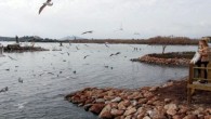 Ördek, kaz, karabatak, martı gibi birçok kuş türünün yaşadığı 2 adacık, gün içerisinde yüzlerce kişi tarafından ziyaret ediliyor. Vatandaşlar, yiyecek attığı kuşların kapışmasını ilgiyle izliyor. Ağaç oyukları, hasır yuva ve korunakların bulunduğu adacıkta yaratılan doğal ortam, kuşların bu bölgeyi tercih […]