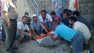 23 Mayıs 2014 Cuma – Turizmin bir numaralı eğlence merkezi Bodrum Türkbükü’nde karaya çıkan yaralı fok için hayvanseverler seferber oldu. Hekimköy Sitesi’ne ait İncilipınar kumsalında bulunan boynundan ve kuyruğundan yaralı olan Fok Balığı, tedavi edilerek tekrar denize bırakıldı. Daha önce Gündoğan’da karaya […]