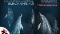 09 Mayıs 2014 Cuma – Meclis kulislerinde önce altı ay, daha sonra bir yıl içinde kademeli olarak kapatılacağı söylenen yunus parklarının kapatılma süresinin iki yıla çıkartılacağı yönündeki bilgiler hayvan severlerin endişelerini artırdı. Yunuslara Özgürlük Platformu ve Yeryüzüne Özgürlük Derneği, yunus parklarının ve […]