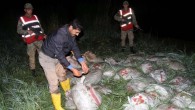 Van’da jandarma ekipleri tarafından yapılan 105 ayrı operasyonda 147 bin 870 kilo kaçak balık ele geçirilirken, 45 şüpheli şahısa ise 65 bin 901 TL idari para cezası kesildi. Üreme döneminde bulunan İnci Kefali balığına yönelik av yasağı ile mücadele kapsamında, […]