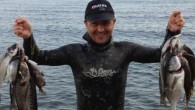 Olay, Çeşme Ilıca açıklarında meydana geldi. Balık malzemeleri satan işyerinde çalışan Cem Karacaoğlu, iki arkadaşıyla zıpkınla balık avlamak için denize girdi. Şnorkelle yüzen Karacaoğlu, denizde balık aramaya başladı. Bu sırada ismi açıklanmayan kaptan, kullandığı tekneyle fark etmediği Cem Karacaoğlu’nun üzerinden […]