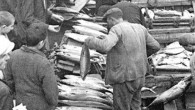 1960’lı hatta 80’li yılların ortalarına dek pek çok sahil kasabasında, kentinde Eylül -Ekim aylarında sokaklardan palamut kokuları eksik olmazdı. Biz çocuklar yine mi palamut diye şikayet ederdik. Aslında yediklerimiz palamut değil, yağlanmış ve büyümüş hali, yani torikti. Balıkların başı ve kuyruk kısımları […]