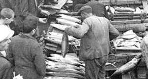 1960’lı hatta 80’li yılların ortalarına dek pek çok sahil kasabasında,