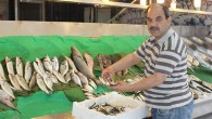 Vatandaş, ramazan sofrasında balık tercih etmediği için balıkçılar çareyi balık fiyatlarını düşürmekte buldu. Bu kez de ucuzlayan balık satış rekoru kırdı. Ramazan ayının gelmesiyle birlikte iftar sofraları şenlenirken vatandaş da tercihini et ve tavuktan yana kullandı. Balıkçılar vatandaşın balığa ilgi göstermemesinden […]