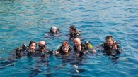 AVRUPA ülkelerinden binlerce turistin dalış yapmak için geldiği Antalya ve çevresinde doğal ya da özellikle batırılan uçak ve gemilerden oluşan dalış noktaları, cazibesini bu yaz da sürdürüyor. Antalya’da serbest dalış ve sportif amaçla yapılacak aletli dalışlarla ilgili su altı parkur […]