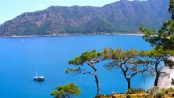 28 Haziran 2014 Cumartesi – Yaz sezonu ile birlikte orman yangınları da başladı. Bu kez Antalya nın Kumluca ilçesi ne bağlı turizm bölgesi Adrasan ormanlarında öğleden sonra başlayan yangın turizm yerleşim alanına ulaştı. Pansiyon, butik otel, restoran, hediyeli eşya mağazası yanarken, yerel […]