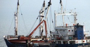 Doğu Karadeniz Bölgesi’nden 2014 yılının ilk 6 ayında 770,4 milyon