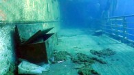İtalya’nın Giglio Adası’nda 2012 yılında karaya oturan ve yan yatan Costa Concordia gemisinin dik konuma getirilmesi ve sonrasında çekilen görüntüleri yayınlandı. ÇEKİLEN GÖRÜNTÜLER YAYINLANDI 2012 yılında Giglio Adası yakınlarında yan yatan ve 32 kişinin hayatını kaybetmesine neden olan Costa Concordia’nın […]
