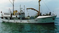 Türkiye’nin ilk deniz araştırma gemisi ‘Arar’ hurdaya çıkarıldı. Bilim insanları, geminin diğer araştırma gemileri ‘Bulur’, ‘Görür’ ve ‘Gezer’ gibi parçalanmasını istemiyor. Atatürk’ün yatı Ertuğrul, Çanakkale Deniz Zaferi’nin mimarı Nusrat mayın gemisi, Kurtuluş Savaşı’nı başlatan seyahatin gemisi Bandırma vapuru ve 1. […]