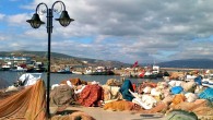 Manyas Kuş Gölü kıyısında bulunan ve gölde balıkçılık faaliyetlerini sürdüren kooperatifin 2013-2014balıkçılık sezonunun açılmasından bu yana balık tutmadıklarını söyleyen Palaz, ’15 Haziran’da sezon açıldı. Aynı dönemde Irak’ta iç karışıklık başladı. Sezonun açıldığı ilk günlerde tutulan balıkları Irak’a gönderdik fakat gönderdiğimiz araçlaryolda kaldı. Bu nedenle bizler de […]