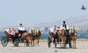 30 Temmuz 2014 Çarşamba – Alınan bu kararda, faytonlara gösterilen ilginin giderek