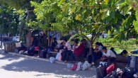 Datça’da, çalıntı tekneyle yasa dışı yollardan Yunanistan’a geçmeye çalışan ve bulundukları tekne batma tehlikesi geçiren 11 kaçak göçmen son anda kurtarıldı. Edinilen bilgiye göre; Yasa dışı yollarla Yunanistan’ın Simi Adası’na gitmek için Emecik sahilinden fiber tekneyle denize açılan, aralarında kadın ve çocukların […]