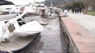Beşiktaş Belediyesi ile Türk Plastik Sanayicileri Araştırma Geliştirme Eğitim Vakfı (PAGEV) ‘Mutlu Balıklar’ adını verdiği proje kapsamında Kuruçeşme Sahili’nde deniz temizleme çalışması yaptı. İSTAÇ adı verilen deniz temizleme aracı ve iki balıkçı teknesiyle yapılan çalışmalarda çevreciler de çalışmaya destek verdi. […]