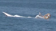 Kaçak yollardan Yunanistan’a geçmek isteyenleri taşıyan tekne Datça ile Simi adası arasında bilinmeyen bir nedenle battı. Olayda bir sığınmacı hayatını kaybederken diğerleri deniz ortasında mahsur kaldı. İlk etapta ikisi organizatör, ikisi de ağır yaralı 4 kişi sahil güvenlik ekipleri tarafından […]
