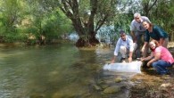 Denizli Gıda, Tarım ve Hayvancılık İl Müdürlüğü tarafından Aydoğdu ve Saklıgöl Göletlerine 25 bin adet pullu sazan balığı yavrusu bırakıldı. Denizli İl Gıda Tarım ve Hayvancılık Bakanlığı tarafından 2014 yılı balıklama programı çerçevesinde,Akdeniz Su Ürünleri Araştırma Üretim ve eğitimEnstitüsü Müdürlüğü tarafından Denizli’ye 25 […]