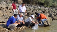 Çanakkale Gıda, Tarım ve Hayvancılık İl Müdürlüğünce, Çanakkale’deki göletlere 28 bin sazan balığı yavrusu bırakıldı.   Akdeniz Su ürünleri Araştırma Üretim ve Eğitim Enstitüsü Müdürlüğü Antalya-Kepez Ünitesinde üretilen sazan balıklarından 28 Bin adeti Çanakkale’ye tahsis edildi. Enstitü tarafından Çanakkale İl […]