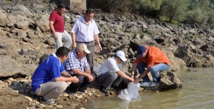 Çanakkale Gıda, Tarım ve Hayvancılık İl Müdürlüğünce, Çanakkale’deki göletlere 28