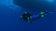 Doğu Akdeniz’in önemli turizm merkezlerinden Mersin,  deniz suyunun temizliği ve görüş mesafesinin iyi olması sayesinde dalış tutkunlarının gözdesi oldu. Kente gelen turistler,  deniz ve güneşin tadını çıkarmanın yanı sıra, Akdeniz’in su altı zenginliklerini de keşfetme şansı buluyor. Yerli ve yabancı turistlerin, uygun […]