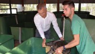 Başkan Tarhan, Mezitli ilçesi Davultepe Mahallesi’ndeki 100. Yıl Halk Plajı içinde yer alan Deniz Kaplumbağaları Kurtarma, Rehabilitasyon ve Bilgilendirme Merkezi’ni ziyaret etti. Açık denizlerde çeşitli nedenlerle yaralanan kaplumbağalarının tedavileri hakkında Orman ve Su İşleri Bakanlığı Yaban Hayat Milli Parklar Genel […]