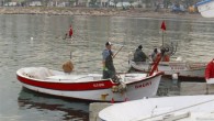 Ordu’nun Fatsa ilçesinde taze balık almak isteyenler sabah saatlerinde limana giderek balıkçı kayıklarından alışveriş yapıyorlar. Her gün sabahın ilk ışıklarında denize açılan kayıkçılar tuttukları taze balıkları vatandaşlara ulaştırma adına büyük çaba gösteriyorlar. Balık bolluğundan memnun olan balıkçılar, bu işi birçok […]