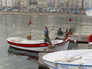Ordu’nun Fatsa ilçesinde taze balık almak isteyenler sabah saatlerinde limana