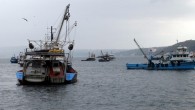 İnebolu açıklarında avlanan balıkçılar, öğlen saatlerinde başlayan ve etkisini arttıran fırtına nedeniyle ağlarını toplayarak İnebolu Limanı’na sığındı. Çok sayıda teknenin sığındığı limanda yanaşacak yer kalmadı. Teknelerde bulunan balıklar, kamyonlara yüklenerek çeşitli illere sevk edildi. Balıkçı Salih Üçüncüoğlu, AA muhabirine yaptığı açıklamada, […]