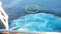 Avrupa’da bir ülkeye sığınmak için Kaçak yollardan bindikleri gemiden Atlas Okyanusu’na bırakılan 2 Senegalli’nin videosu denizcilik camiasını karıştırdı. Yaz ortasında çekildiği anlaşılan 7 dakikalık kayıtta, Batı Afrika ülkesi Liberya Bukhanan’da bulunan Lady Saliha adlı bir Türk şirketine ait kuru yük […]