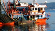 Samsun Balık Hali Komisyoncuları Derneği Başkanı Davut Kıyak, trollerin denize açılması ile birlikte balığın bollaştığını söyledi. Kıyak, “Adeta denizde bayram var. Tüm Türkiye doya doya balık yiyebilecek” dedi.  Balık avcılığında trol sezonunun da açılması ile birlikte tezgahlar iyice ‘şenlendi.’ Samsun […]