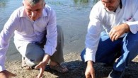 Kahramanmaraş İl Gıda, Tarım ve Hayvancılık Müdürü İhsan Emiralioğlu, yaptığı açıklamada, balık ölümleriyle ilgili su ürünleri mühendisleri tarafından gerekli çalışmaların başlatıldığını söyledi. Çalışma neticesinde ölümlerin sebebinin belirleneceğini aktaran Emiralioğlu, kısa süre içerisinde çalışmayı neticelendirecek kamuoyuyla paylaşacaklarını bildirdi. Balık ölümlerinin yaşandığı […]