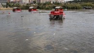 Gölbaşı İlçesi Koruma, Geliştirme ve Turizm Derneği (GÖLDER) Başkanı Gürsel Demirci ve yönetimi, Mogan Gölü’ndeki kirliliği göstermek amacıyla ‘Göktürk’ adlı gezi teknesi ile dolaştırırken basın açıklaması yaptı. Demirci, Gölbaşı’yı çocukları gibi gördüklerini belirtirken, “Onu korumak ve geliştirmek en asli görevimizdir. […]