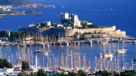 MUĞLA (AA) – Bodrum Sualtı Arkeoloji Müze Müdürü Emel Özkan, Bodrum”da yapılan son çalışmalarda, Miken dönemine ait 49 eser bulunduğunu bildirdi. Bodrum Sualtı Arkeoloji Müzesi tarafından Ortakent ve Gümüşlük mahallelerinde yapılan sondaj ve kurtarma kazılarında, Bodrum Yarımadası”nın tarihine ışık tutacak […]