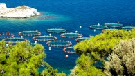 Bir firma tarafından Karaburun Küçükbahçe kuzey mevkisinde kurulması planlanan Su Ürünleri Yetiştiriciliği Tesisi’ ile ilgili Çevresel Etki Değerlendirme süreci kapsamında bugün (11 Kasım 2014 tarihinde) saat 14.00’de Küçükbahçe Köyü Kıraathanesi’nde “Halkın Katılımı Toplantısı” düzenleneceği duyuruldu. 98.000 m2 deniz yüzeyini kaplayacak […]