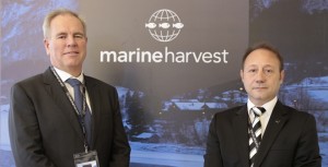 Dünyanın 24 ülkesinde ofisi bulunan Marine Harvest, Türkiye’de ilk satış