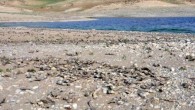 Kahta’ya 5 kilometre uzaklıktaki Mülk köyünün hemen yanı başında yaklaşık 40 yıl önce sulama amaçlı yapılan göletteki binlerce balık ölerek kıyıya vurdu. Yüzüncü Yıl Göleti’ndeki balıkların ölmesinden dolayı köylülerin tedirgin olduğunu belirten Mülk Köyü Muhtarı Ahmet Oğuz, balık ölümlerinin bir […]