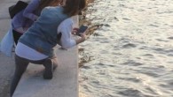 İzmir’in Göztepe ve Sahilevleri semtlerinde yürüyüş yapanlar, nesli tükenme tehlikesi altında olan, sahile vurmuş caretta caretta türü deniz kaplumbağası ölülerini buldu. Konak İlçesi Göztepe Semti sahilinde bugün öğle saatlerinde yürüyüş yapanlar, kıyıda ölü bir caretta caretta vurduğunu fark etti. Dalgalar […]