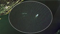 Woodland Trust isimli orman koruma derneği, Nessie adıyla anılan canavarın aslında sadece “kütük” olduğunu, canavarı gördüğünü iddia edenlerin sayısının sonbahar ve ilkbahar aylarında artmasının tek nedeninin de bu dönemde göle akan nehirlerin Urquhart Bay ormanından sürükledikleri ölü kütükleri göle taşıması […]