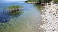 Sakarya ve Kocaeli’nin içme suyu havzası Sapanca Gölü, kuraklıkla birlikte hem aşırı su alımı, hem bölgedeki su fabrikaların derelerin suyunu kendi tesislerine çekmesi sonucu dikey olarak 3 metre düştü. Göl çevresindeki iskeleler açıkta kalırken, bu tablo, bölge halkını endişelendirdi. Sapanca […]