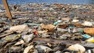 Uluslararası düzeyde yapılan bir araştırma dünyadaki okyanuslarda 270 bin tona yakın plastik atık bulunduğunu gösterdi. Sonuçları PLOS ONE adlı dergide yayımlanan araştırmaya göre, büyük boyutlu plastik atıklar kıyılara vuruyor ama kıyılardan uzaklardaki plastik cisimler parçalanıp dağılıyor. Bilim insanları incelenen atıkların […]
