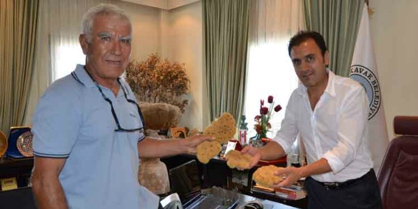 AKSONA Mehmet