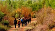 31 Aralık 2014 Çarşamba – Alican HİZMET- turizmhaberleri.com/ Antalya ARBORETUM’DA YÜRÜMEK…. 30 Kasım Pazar sabahı, saat 7:00 ve yürüyüş aşk’ı Bir önceki yürüyüşümüzden 8 gün geçmişti ve ben ağrılarımı tam anlamıyla unutmuştum. İlk yürüyüşümüzde vücudumda daha önce çalıştırmadığım kaslarımı çalıştırdıktan sonra 4 […]