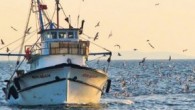 Türkiye özellikle geleneksel balıkçılık tarafında ciddi bir potansiyel teşkil ediyor. Geleneksel balıkçılık turizminin doğduğu topraklar İtalya’da. Bu nedenle geleneksel balıkçılık dünyada ‘Pesca Turismo’ adıyla ünlenmiş durumda. Akdeniz havzası, ABD, Güney Amerika ülkeleri, Rusya, Uzakdoğu kısaca birçok coğrafyada geleneksel balık avı […]