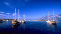 Muğla Turizm ve Çevre Gönüllüleri Başkanı Filiz Ersan, ihalenin yürütmesinin durdurulması için dava açmaya hazırlandıklarını belirtirken, Türkiye Seyahat Acentaları Birliği (TÜRSAB) Marmaris Yürütme Kurulu Başkanı İsmail Özbozdağ da kendileri için önemli olanın doğa ve çevrenin korunması olduğunu vurgulayıp, açılacak davaya […]
