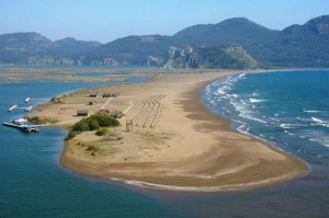 05 Ocak 2015 Pazartesi – turizmhaberleri.com/haber merkezi Caretta carettaların önemli bir yumurtalama